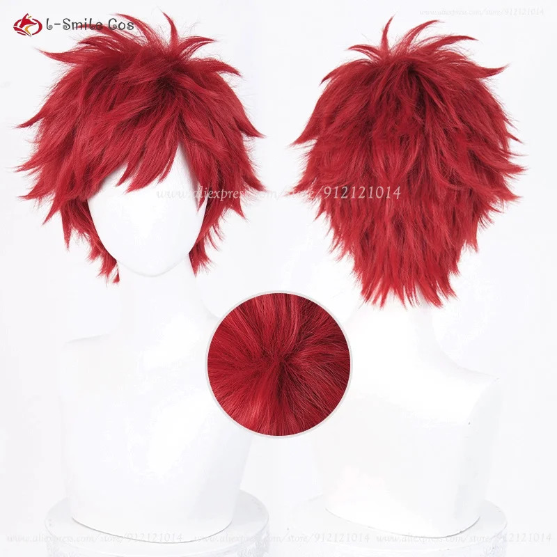 Аниме Рейнхард Ван Астрареа Ко – обзор и цена Anime Cosplay Red Hair